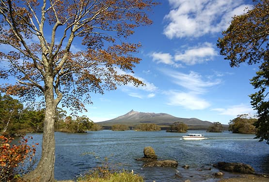 北海道楓啥~熊牧場．地獄谷．浪漫小樽遊．函館纜車．雙溫泉五日