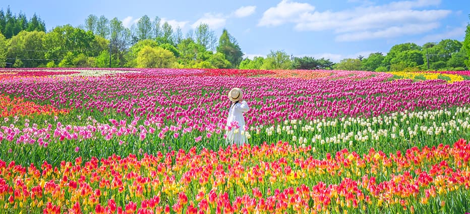 四國米其林景點~海上鳥居．花卉公園．金刀比羅宮．天空鞦韆五日