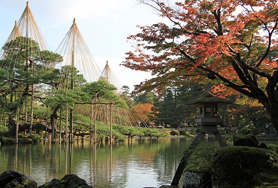 北陸米其林紅葉巡禮~兼六園.合掌村.犬山城.錢洗稻荷神社五日