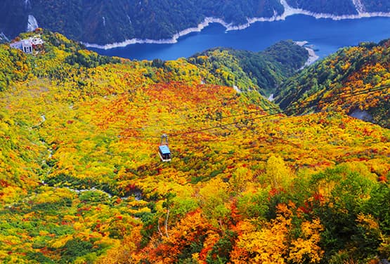 楓紅秋戀賞櫻趣~立山黑部.小原四季櫻.兼六園.童話合掌村五日