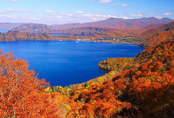 層林盡染紅葉．關東東北秋楓七日