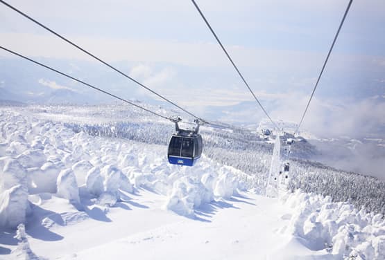 白雪東北訪樹冰~雪樂園.銀山溫泉.藏王纜車.大內宿雙溫泉五日