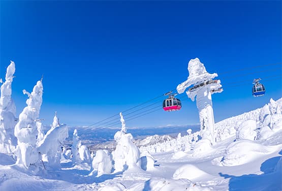 藏王樹冰雙雪奇緣~袋田冰瀑・銀山溫泉・日本百選名湯雪景六日遊