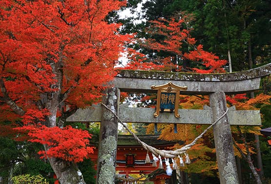 東北賞秋楓~銀山溫泉.中尊寺.法體瀑布.抱返溪谷溫泉五日