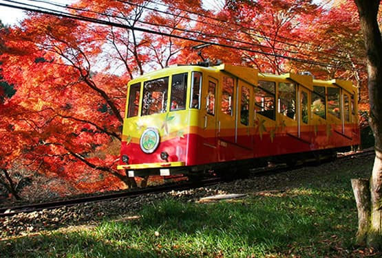 東京賞楓泡湯趣〜高尾山.溫泉樂園.長瀞溪谷遊船.雙溫泉五日