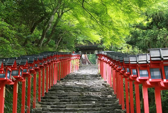 京都慢活之旅～鴨川漫步.貴船神社水占卜.宇治平等院.大阪五日