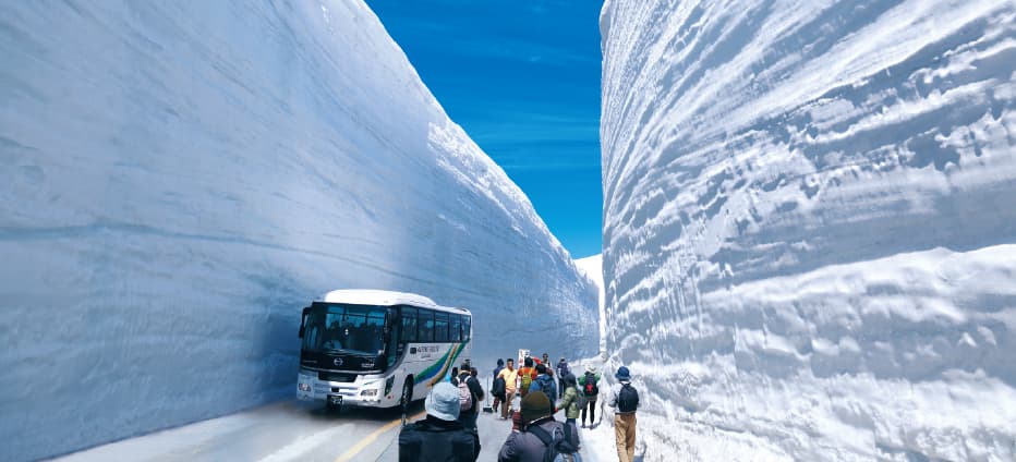 初夏遊立山~繡球花祭、神之鄉上高地、合掌村、雪壁美景五日