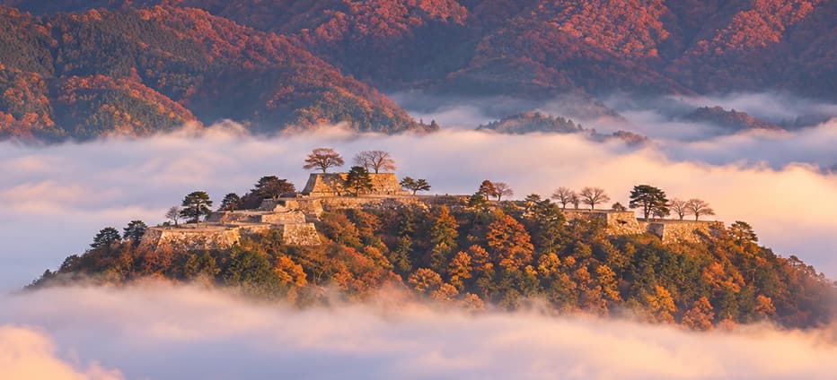楓紅天空之城～天橋立.伊根灣遊船.柳谷花手水.竹田城跡五日