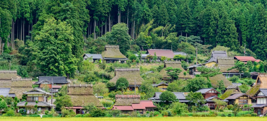 關西三都特惠～清水寺.東大寺.合掌屋秘境.嵐山小徑五日