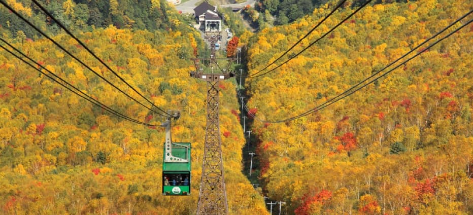 北海道楓紅似火~療癒波波草.黑岳纜車.豐平峽.三大蟹五日