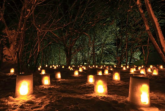 北海道雪燈籠~函館夜景.羊駝戲雪.三大蟹放題五日(旭/函)