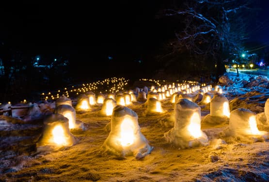 北海道雪燈籠~函館夜景.羊駝戲雪.三大蟹放題五日(函/旭)