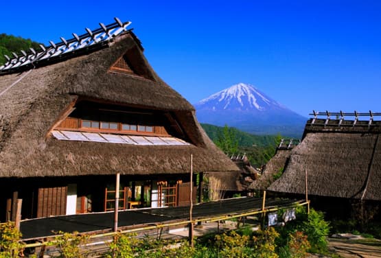 東京賞楓泡湯~海盜船.富士山纜車.合掌村.雷門.新宿御苑五日