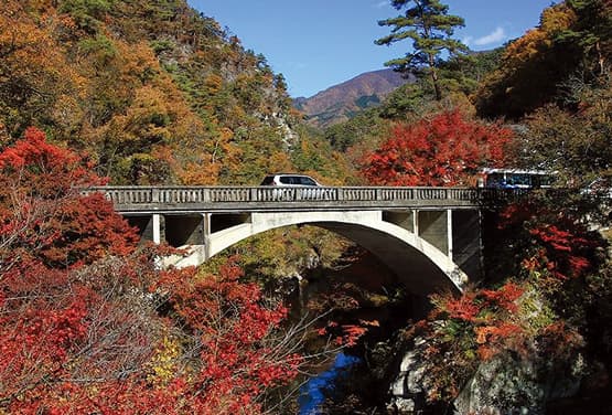 東京賞楓三溫泉~輕井澤.御岳昇仙峽.河口湖.高尾山纜車五日